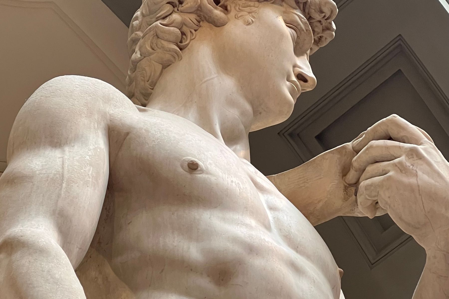 Detail of Michelangelo’s David, showing chest, hand, and partial profile