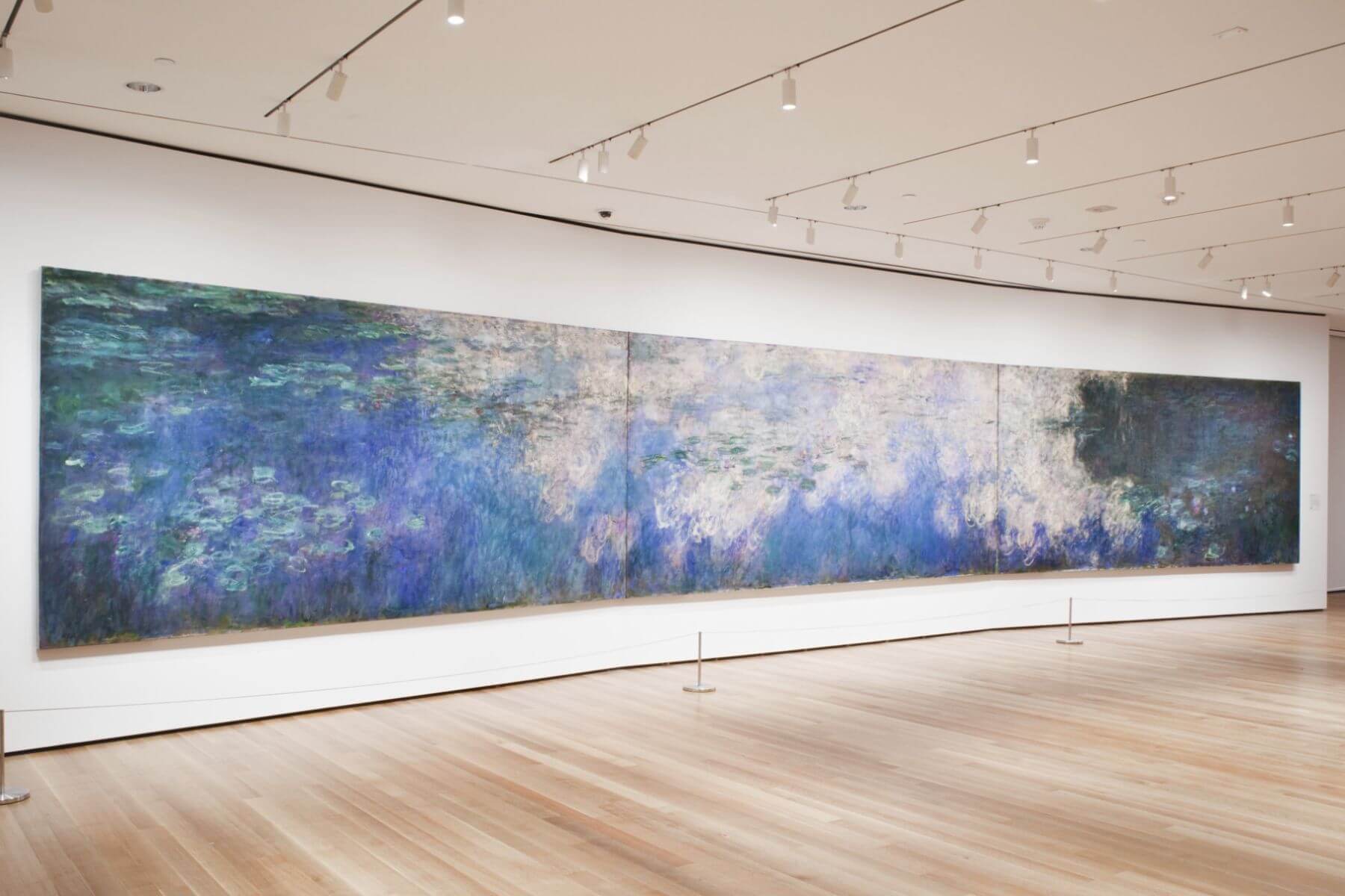 Claude Monet's large-scale panoramic water lily paintings installed in a MoMa
